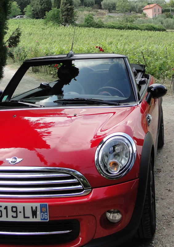 Mini Cooper among the vines
